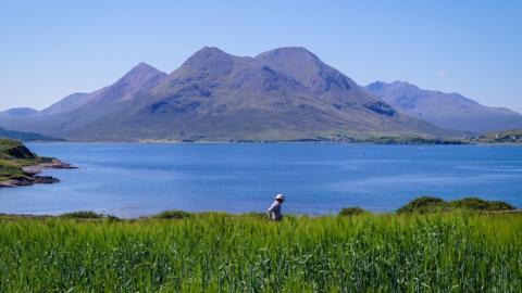 Barley trial on Raasay