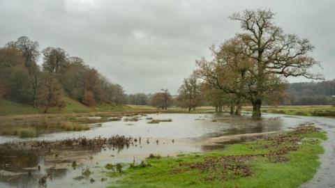 A partially flooded field edged by trees next to a road on the right side of the image