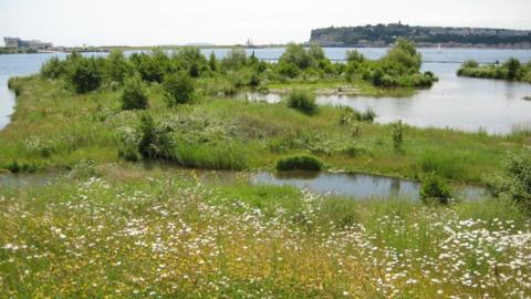 Wetland Nature Reserve, Cardiff Bay,