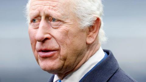A close up photo of Kings Charles taken looking into the distance 