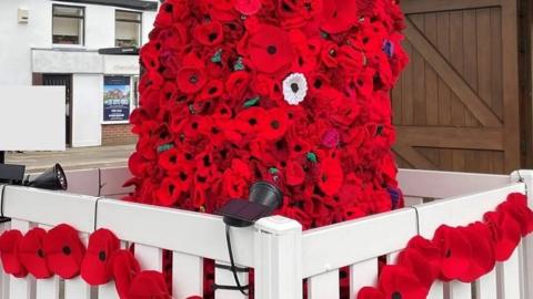 White picket fence with poppy garland lights angles on a tree covered in woolly poppies