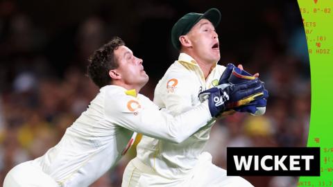 Alex Carey and Marnus Labuschagne