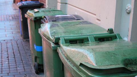 A row of green, black and blue wheelie bins by a wall