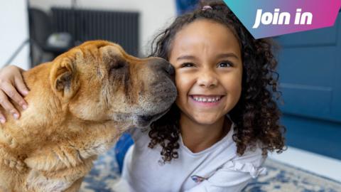 in a living room, a curly-haired little girl in a white tee receives a kiss on the cheek from a small dog