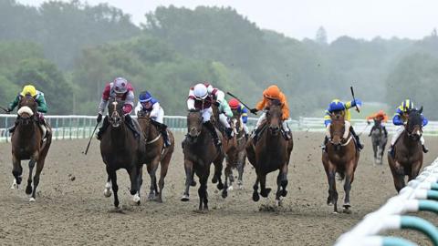 Racing at Lingfield Park