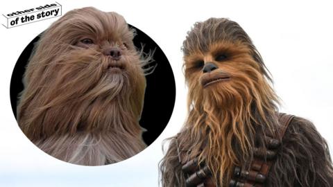 George the shih-tzu and Chewbacca from Star Wars