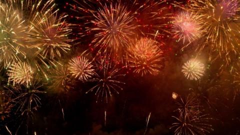 Fireworks exploding in the night sky