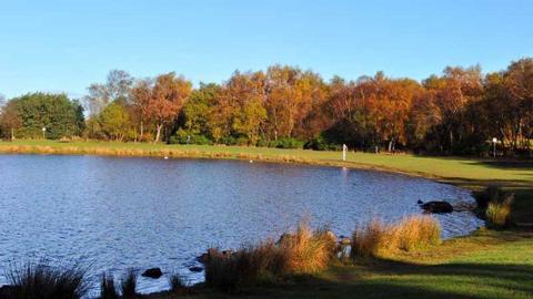 A park with a lake through it, on a sunny day