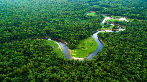 Wonderful aerial shots of the Amazon rainforest.