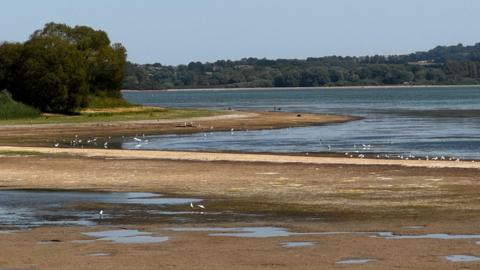 The shallow, brown banks of Chew Valley Lake. Water has receded with wading birds, exposed shoreline and trees all visible.
