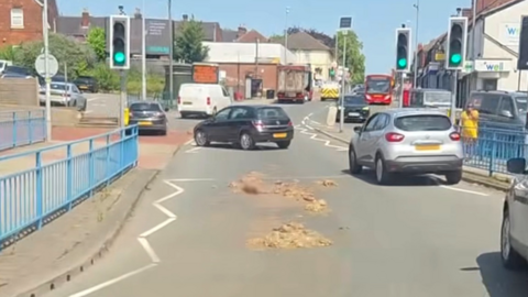 Two piles of brown-coloured offal on a main road, just before a traffic-light controlled pedestrian crossing. Cars can be seen manoeuvring 