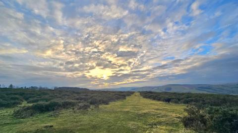 Grassy expanse with hedges either side of path, a black dog to the right, hills in the distance under a cloudy sky with sun breaking through