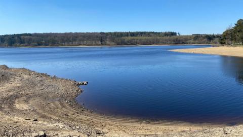 A large reservoir with sandy banks and a line of trees on the horizon