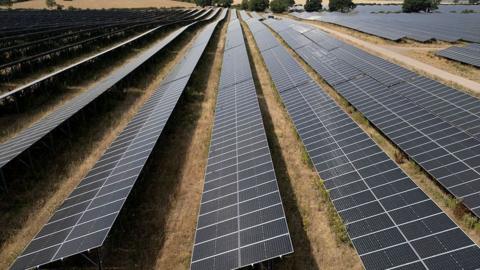 A stock photo of a solar farm.