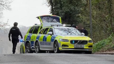 Three police cars can be seen on the side of the road. Police officers are next to a boy who has been arrested. His face has been blurred out