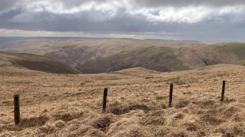 Rhan o safle Tir Natur