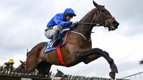 Sean Bowen in blue silks jumps a fence on his mount Court Canyon