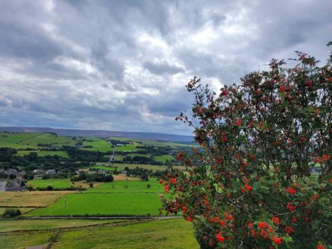 Penistone, Barnsley