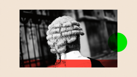 Barrister wearing wig and gown