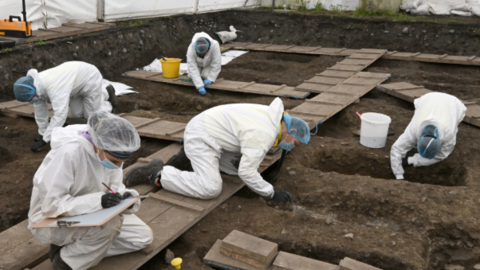 Five forensic staff wearing white hazmat suits, plastic hair nets and blue medical masks work under a large tented enclosure during the excavation. They are kneeling on wooden gangways in a large pit and leaning into shallow graves-like hollows, scraping at the soil. Plastic buckets are placed beside some of the workers. One worker is writing on a clipboard. 