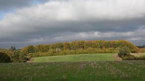 Thick, dark clouds hang low over rolling green fields. There are trees and a hedgerow in the background. The camera is at ground looking across the grass.