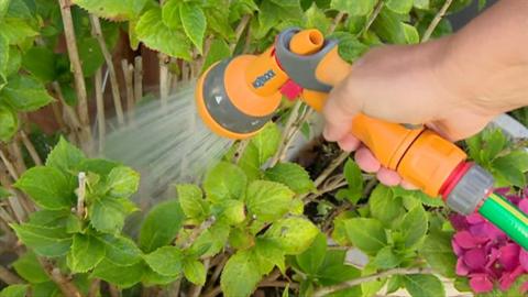A yellow garden hose sprayer is held by a hand over a green shrub