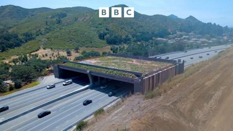 Still picture from May 2026 drone footage of the Wallis Annenberg Wildlife Crossing under construction