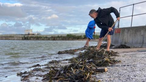 Two volunteers are seen clearing away rubbish and seaweed at the edge of New Brighton marine lake