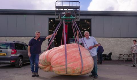 Two men standing on each side of an enormous pumpkin, lifted slightly into the air with a mini crane. 