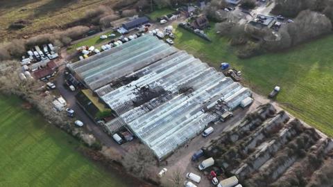 Large greenhouses surrounded by fields and numerous vehicles parked around the outer edges of the buildings.