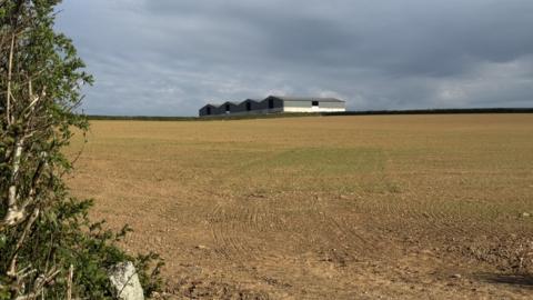 A large open brown field, which has been seeded, with a large barn in the background. There is a hedge to the left hand side 