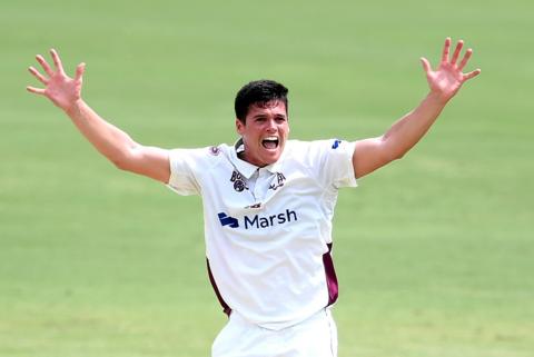 Liam Guthrie appeals for a wicket while playing for Queensland