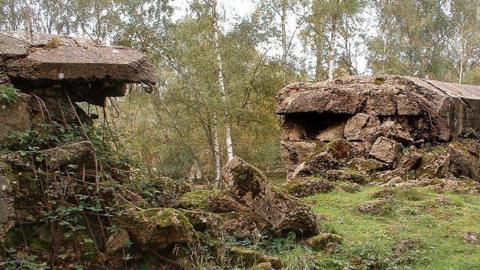 A close up image of a large concrete wall in woodland. There is a large gap in separating two parts of the wall where it was blown up