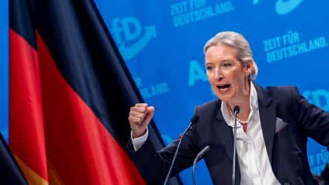 Alice Weidel, a blond woman wearing a suit jacket and a white shirt, shakes her fist. The blue background reads "It's time for Germany". A German flag is set to her right