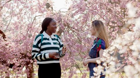 Two female students chat together, with cherry trees in bloom behind and to the right of them. One student wears black trousers and a black and white sweatshirt and the other is wearing blue dungaree trousers and a short-sleeved shirt. 