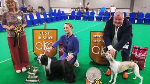 A female judge hold a rosette besides a black and white Tibetan terrier, with its owned who is dressed in blue. A cream and fawn whippet is beside them, with the owner behind them.
There are silver trophies in front of them.