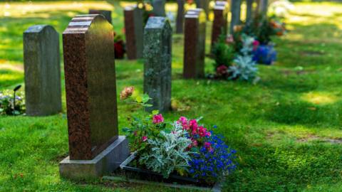 Two rows of brown and grey marble gravestones with pink and purple flowers planted in front of each one. They are surrounded by short green grass.