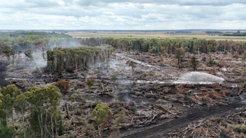 Holme Fen fire