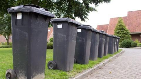 A row of grey wheelie bins standing on the edge of a lawn next to a small kerb. On the other side of the kerb is a smooth paved road. Trees and the sloping rooves of several houses feature in the background.