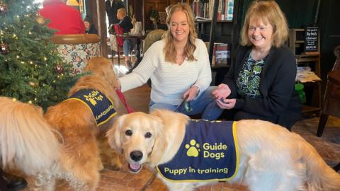 Two women in a pub with two golden retriever dogs. The dogs are wearing blue jackets with 'Guide Dogs' written on the side. One of the dogs has 'Puppy in Training' written on the jacket also.

One of the dogs is facing way from the camera and standing next to a Christmas tree.

Both the women are smiling.