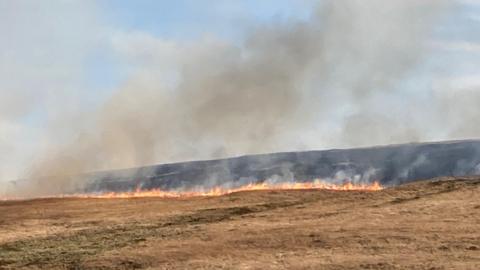 A line of yellow flames spreading across moorland with grey smoke rising into the blue sky