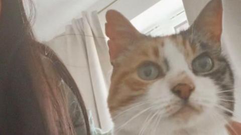 Charlie, who has a white and tortoise-shell coloured face
