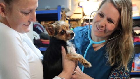 A woman in a white top is holding a small Chihuahua dog while another woman in a blue top using a stethoscope and smiling gives the dog a health check