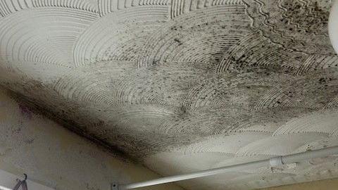 Mould on a roof inside a home