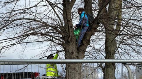 Paul Powlesland in a tree in Wellingborough