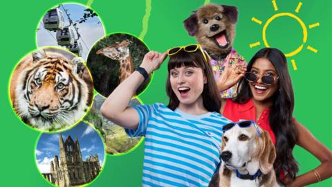 Blue Peter attractions.