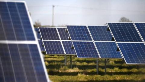 Solar panels in a field.
