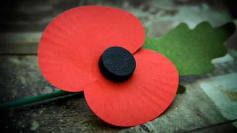 Remembrance Poppy