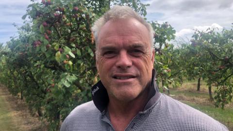 Paddy Ivens looks directly at the camera as he is photographed amongst plum tree. He has short grey hair and stubbly chin, he has a grey T-shirt on with the collar up around his neck.