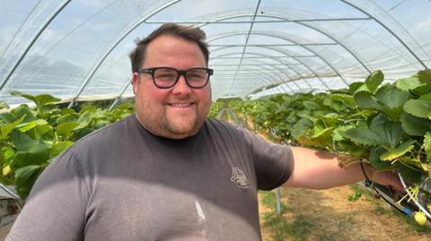 A man standing in front of polytunnels full of strawberries. The man has short brown hair and is wearing a dark grey polo shirt.
